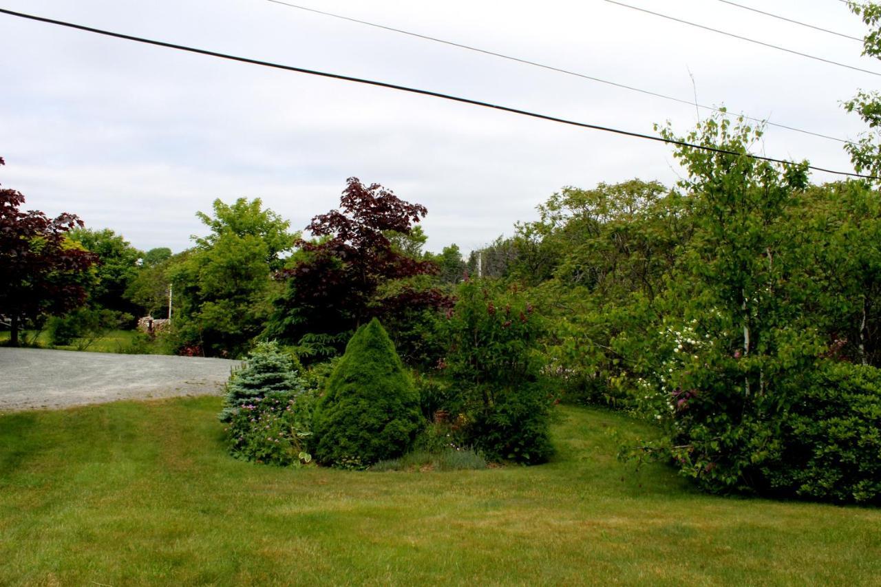 Mackenzie House B&B By Elevate Rooms Port Hawkesbury Exterior foto
